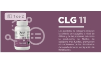 CLG 11 COLAGENO