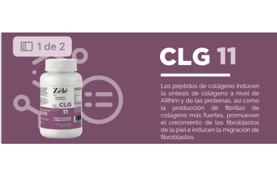 CLG 11 COLAGENO