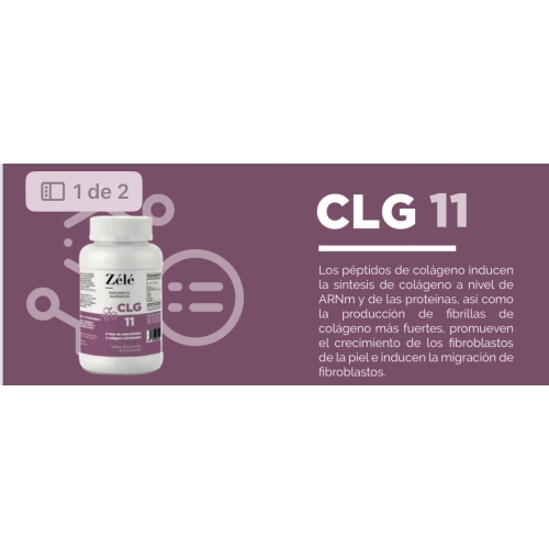 CLG 11 COLAGENO